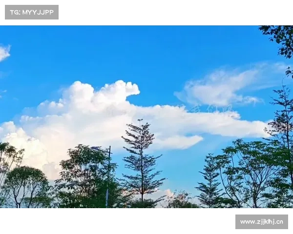 天空:伯利&传媒大亨蒙哥马利竞购电讯报,报价可能低于5亿镑 天空:伯利&传媒大亨蒙哥马利竞购电讯报,报价可能低于5亿镑